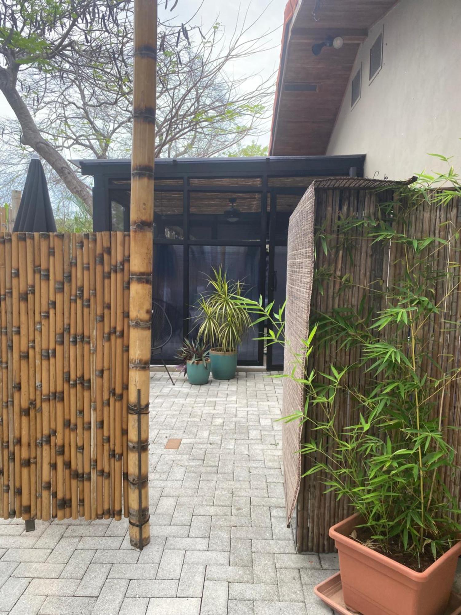 PanamáBungle In The Jungle公寓 外观 照片